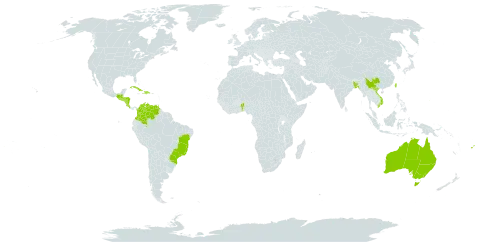 Pilea cadierei world distribution map, present in Australia, Benin, Bangladesh, Brazil, China, Colombia, Costa Rica, Cuba, Dominican Republic, Fiji, Guatemala, Guam, Honduras, Haiti, Mexico, Nicaragua, El Salvador, Trinidad and Tobago, Taiwan, Province of China, Venezuela (Bolivarian Republic of), and Viet Nam