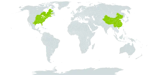 Pilea pumila world distribution map, present in Canada, China, and United States of America