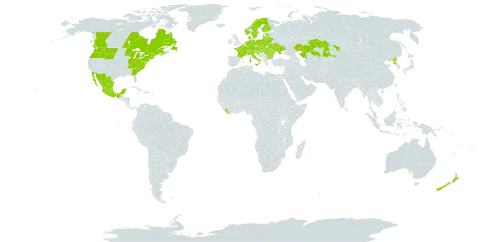 Pilosella caespitosa subsp. caespitosa world distribution map, present in Austria, Belgium, Bulgaria, Bosnia and Herzegovina, Belarus, Canada, Switzerland, Czech Republic, Germany, Denmark, Estonia, Finland, France, United Kingdom of Great Britain and Northern Ireland, Croatia, Hungary, Italy, Kazakhstan, Liberia, Liechtenstein, Lithuania, Luxembourg, Latvia, Moldova (Republic of), Mexico, Netherlands, Norway, New Zealand, Poland, Korea (Democratic People's Republic of), Romania, Russian Federation, Serbia, Slovakia, Slovenia, Sweden, Ukraine, and United States of America