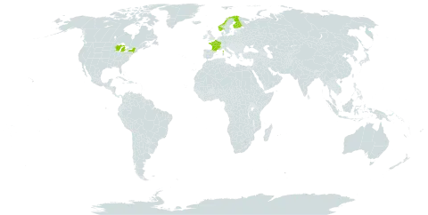 Pilosella floribunda world distribution map, present in Finland, France, Norway, and United States of America