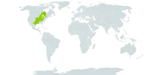 Pilosella longipila world distribution map, present in Canada and United States of America