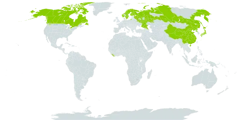 Pinguicula villosa world distribution map, present in Canada, China, Finland, Japan, Liberia, Norway, Korea (Democratic People's Republic of), Russian Federation, Sweden, and United States of America