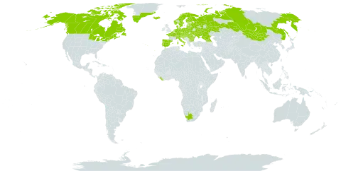 Pinguicula vulgaris world distribution map, present in Andorra, Austria, Belgium, Bulgaria, Bosnia and Herzegovina, Belarus, Canada, Switzerland, Czech Republic, Germany, Denmark, Spain, Estonia, Finland, France, United Kingdom of Great Britain and Northern Ireland, Georgia, Greenland, Croatia, Hungary, Iceland, Italy, Liberia, Liechtenstein, Lithuania, Latvia, Mongolia, Netherlands, Norway, Poland, Portugal, Romania, Russian Federation, Saint Pierre and Miquelon, Serbia, Slovakia, Slovenia, Sweden, Ukraine, United States of America, and South Africa