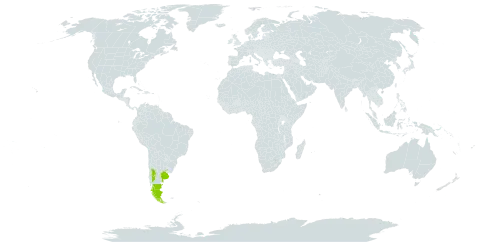 Pinnasa bergii world distribution map, present in Argentina, Chile, and Uruguay