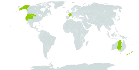 Pinus contorta world distribution map, present in Australia, France, New Zealand, and United States of America