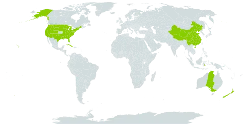 Pinus world distribution map, present in Australia, China, Cuba, Indonesia, Sri Lanka, New Zealand, and United States of America