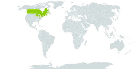 Piptatheropsis canadensis world distribution map, present in Canada, Micronesia (Federated States of), and United States of America