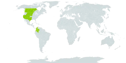 Piptatheropsis micrantha world distribution map, present in Canada, Colombia, and United States of America