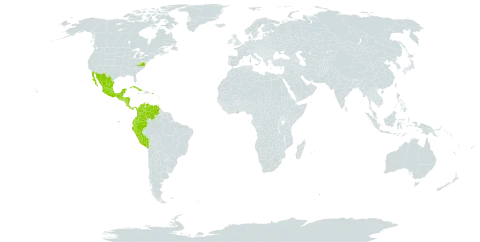 Piscidia carthagenensis world distribution map, present in American Samoa, Antigua and Barbuda, Barbados, Colombia, Costa Rica, Cuba, Ecuador, Guernsey, Ghana, Guadeloupe, Grenada, Guatemala, Honduras, Saint Kitts and Nevis, Saint Lucia, Mexico, Montserrat, Martinique, Mauritius, Nicaragua, Panama, Peru, Puerto Rico, Singapore, El Salvador, Trinidad and Tobago, United States of America, and Venezuela (Bolivarian Republic of)