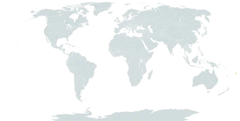 Pittosporum arborescens world distribution map, present in Cook Islands, Fiji, Tonga, and Wallis and Futuna