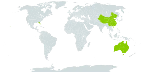 Pityrogramma world distribution map, present in Australia, China, and United States of America