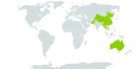 Planchonella world distribution map, present in Andorra, Australia, Bangladesh, China, Cook Islands, Fiji, Moldova (Republic of), Myanmar, Norfolk Island, New Zealand, Pakistan, Philippines, Solomon Islands, Seychelles, Thailand, Tonga, Taiwan, Province of China, Viet Nam, Vanuatu, Wallis and Futuna, and Samoa