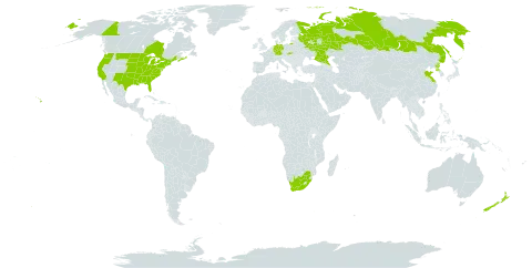 Plantago aristata world distribution map, present in Canada, China, Germany, New Zealand, Korea (Democratic People's Republic of), Russian Federation, Slovakia, United States of America, and South Africa