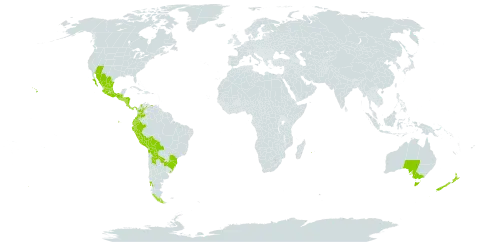 Plantago australis subsp. hirtella world distribution map, present in Argentina, Australia, Bolivia (Plurinational State of), Brazil, Chile, Colombia, Costa Rica, Ecuador, Guatemala, Honduras, Mexico, Nicaragua, New Zealand, Panama, Peru, Paraguay, Réunion, El Salvador, Uruguay, United States of America, and Venezuela (Bolivarian Republic of)