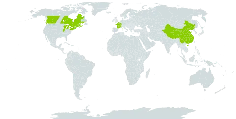 Plantago media world distribution map, present in Canada, China, France, and United States of America