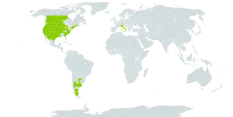 Plantago patagonica world distribution map, present in Argentina, Canada, Italy, Mexico, Uruguay, and United States of America