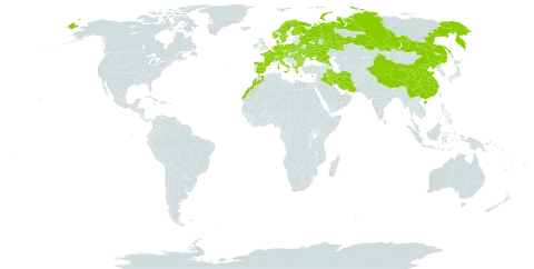 Platanthera chlorantha world distribution map, present in Albania, Austria, Bulgaria, Belarus, Switzerland, China, Cyprus, Czech Republic, Germany, Denmark, Spain, Finland, France, United Kingdom of Great Britain and Northern Ireland, Greece, Hungary, Ireland, Iran (Islamic Republic of), Iraq, Italy, Morocco, Netherlands, Norway, Palau, Poland, Romania, Russian Federation, Sweden, Turks and Caicos Islands, and Ukraine