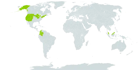 Platanthera dilatata world distribution map, present in Colombia, Micronesia (Federated States of), Malaysia, and United States of America