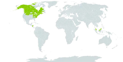 Platanthera orbiculata world distribution map, present in Canada, France, Micronesia (Federated States of), Malaysia, Nicaragua, and United States of America