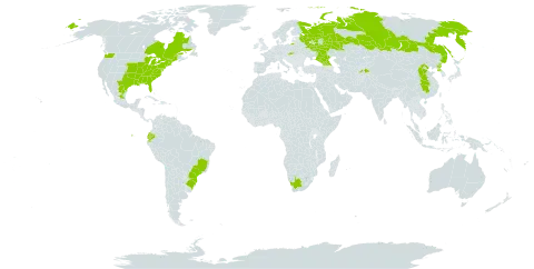 Platanus occidentalis world distribution map, present in Brazil, Canada, China, Ecuador, Georgia, Mexico, Korea (Democratic People's Republic of), Russian Federation, Serbia, Slovakia, Tajikistan, United States of America, and South Africa