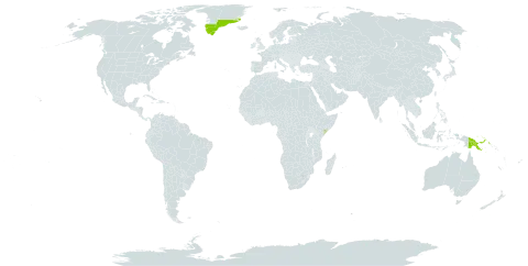 Platostoma longicorne world distribution map, present in Greenland, Papua New Guinea, and Somalia