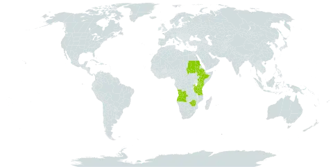 Plectranthus dupuisii world distribution map, present in Angola, Burkina Faso, Ethiopia, Kenya, Rwanda, Sudan, Tanzania, United Republic of, Uganda, and Zimbabwe