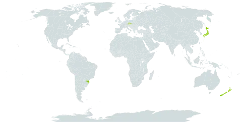 Pleioblastus argenteostriatus world distribution map, present in Brazil, Czech Republic, Japan, and New Zealand