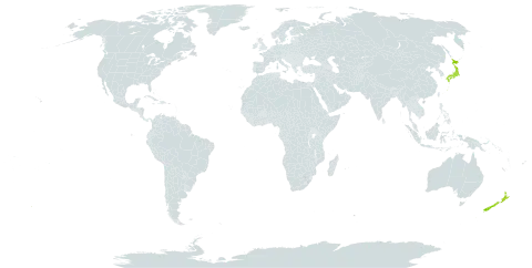 Pleioblastus gramineus world distribution map, present in Cook Islands, Japan, and New Zealand