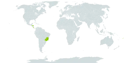 Pleroma semidecandrum world distribution map, present in Brazil, Costa Rica, Fiji, and Honduras