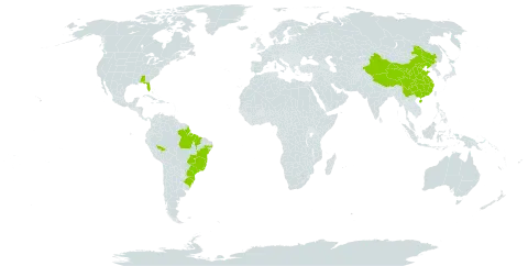 Pluchea sagittalis world distribution map, present in Brazil, China, and United States of America