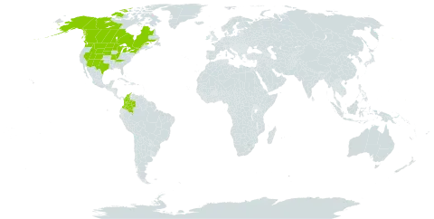 Poa interior world distribution map, present in Canada, Colombia, Micronesia (Federated States of), and United States of America