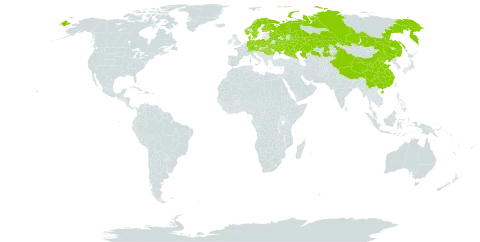 Poa remota world distribution map, present in Austria, Belarus, Switzerland, China, Czech Republic, Germany, Denmark, Finland, Hungary, Kazakhstan, Norway, Poland, Romania, Russian Federation, Sweden, and Ukraine