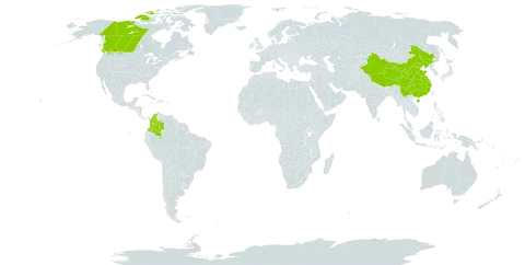 Poa secunda subsp. juncifolia world distribution map, present in Canada, China, and Colombia