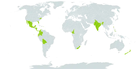 Podranea ricasoliana world distribution map, present in Bonaire, Sint Eustatius and Saba, Belize, Bolivia (Plurinational State of), Cameroon, Colombia, Costa Rica, Ecuador, Honduras, India, Jamaica, Mexico, Nicaragua, New Zealand, Panama, Philippines, Puerto Rico, Trinidad and Tobago, United States of America, and South Africa