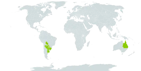 Polygala duarteana world distribution map, present in Argentina, Australia, Bolivia (Plurinational State of), Brazil, Paraguay, and Uruguay