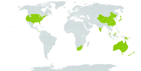 Polygala world distribution map, present in Australia, China, Guernsey, Indonesia, India, Japan, Sri Lanka, Malaysia, New Zealand, Panama, Philippines, Papua New Guinea, Taiwan, Province of China, United States of America, and South Africa