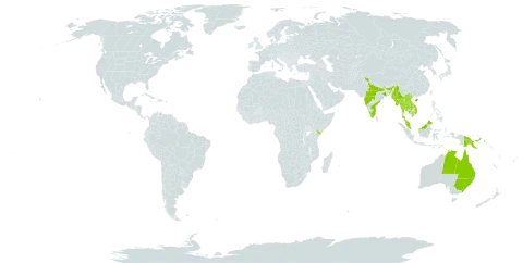 Polygala linarifolia world distribution map, present in Australia, China, India, Kenya, Cambodia, Lao People's Democratic Republic, Myanmar, Malaysia, Nepal, Papua New Guinea, Thailand, and Viet Nam