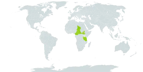 Polygala schweinfurthii world distribution map, present in Burundi, Central African Republic, Cameroon, Rwanda, South Sudan, Chad, Tanzania, United Republic of, and Uganda