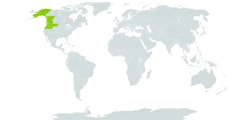 Polystichum andersonii world distribution map, present in Canada and United States of America