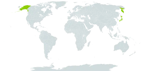 Polystichum microchlamys world distribution map, present in Japan, Russian Federation, and United States of America