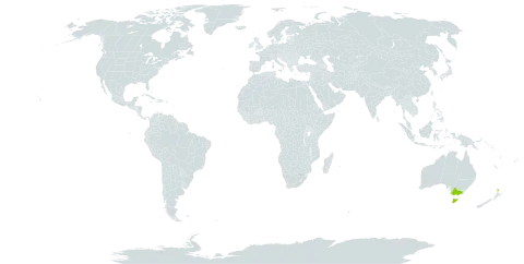 Pomaderris apetala subsp. maritima world distribution map, present in Australia and New Zealand