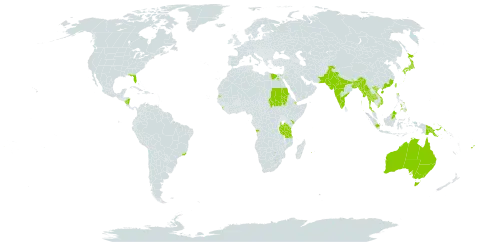 Pongamia pinnata world distribution map, present in Angola, Australia, Bonaire, Sint Eustatius and Saba, Bangladesh, Brazil, Barbados, Brunei Darussalam, China, Djibouti, Egypt, Fiji, Indonesia, India, Japan, Kenya, Sri Lanka, Myanmar, Northern Mariana Islands, Mauritius, Malaysia, Nicaragua, Pakistan, Philippines, Papua New Guinea, Réunion, Sudan, Singapore, Seychelles, Thailand, Taiwan, Province of China, Tanzania, United Republic of, Uganda, United States of America, and Viet Nam