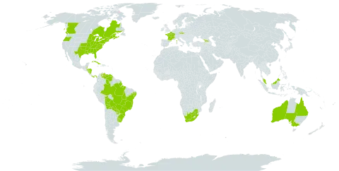 Pontederia cordata world distribution map, present in Åland Islands, Australia, Belize, Bolivia (Plurinational State of), Brazil, Canada, Cuba, Czech Republic, France, Micronesia (Federated States of), Georgia, Honduras, Malaysia, Nicaragua, Panama, Paraguay, Uruguay, United States of America, Venezuela (Bolivarian Republic of), and South Africa