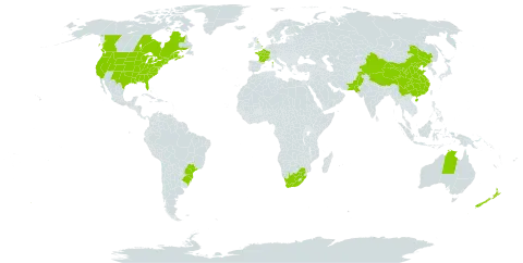 Populus alba world distribution map, present in Australia, Brazil, Canada, China, France, United Kingdom of Great Britain and Northern Ireland, New Zealand, Pakistan, United States of America, and South Africa