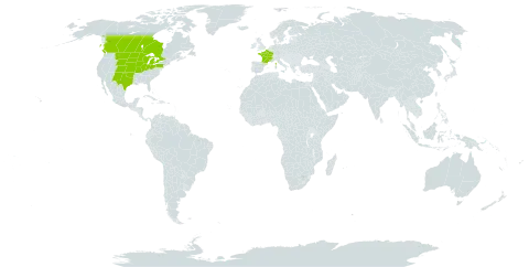 Populus deltoides subsp. monilifera world distribution map, present in Canada, France, and United States of America