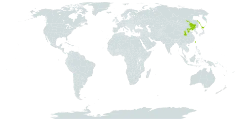 Populus suaveolens world distribution map, present in China, Japan, Russian Federation, and Taiwan, Province of China