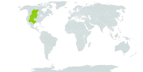 Populus x acuminata world distribution map, present in Canada and United States of America