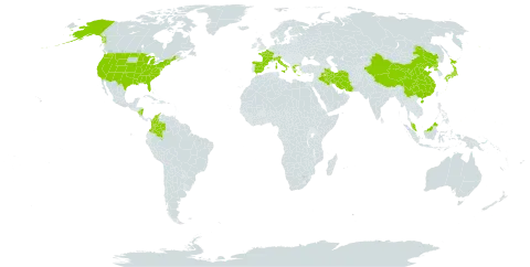 Potamogeton berchtoldii world distribution map, present in Åland Islands, China, Colombia, Spain, France, Micronesia (Federated States of), Greece, Iran (Islamic Republic of), Iraq, Italy, Japan, Malaysia, Nicaragua, Palau, Korea (Democratic People's Republic of), Turks and Caicos Islands, and United States of America