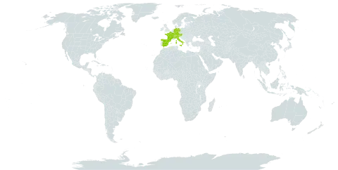 Potentilla brauneana world distribution map, present in Andorra, Austria, Switzerland, Germany, Spain, France, Italy, Liechtenstein, and Slovenia