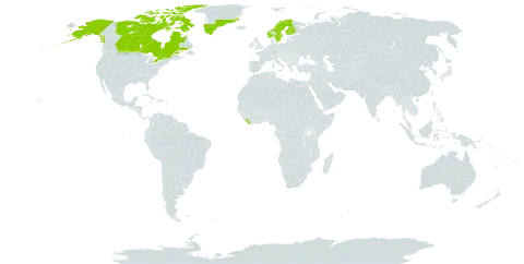 Potentilla chamissonis world distribution map, present in Canada, Finland, Greenland, Liberia, Norway, Sweden, and United States of America